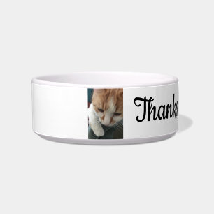 Cat bowl