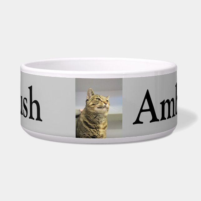 Cat Bowl (Front)