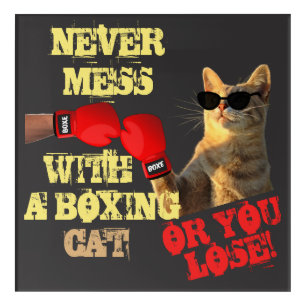 Cat boxing knock out funny sunglasses text meme acrylic print