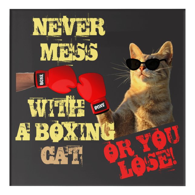 Cat boxing knock out funny sunglasses text meme acrylic print (Front)