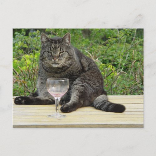 Cat Bram on the table with a wine glass Postcard