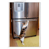 Cat breaking into fridge, believe in yourself card (Front)