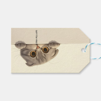Cat Breed Scottish Fold Gift Tags