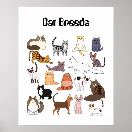 cat breeds poster