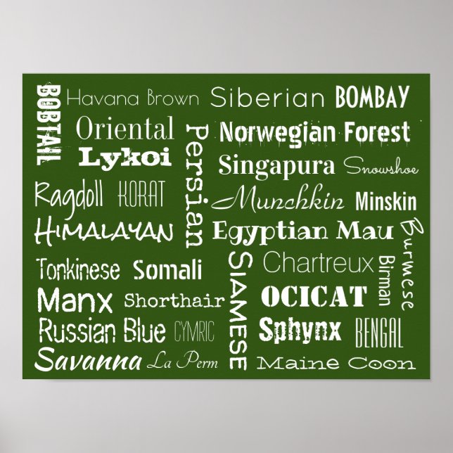 Cat Breeds Poster (Front)