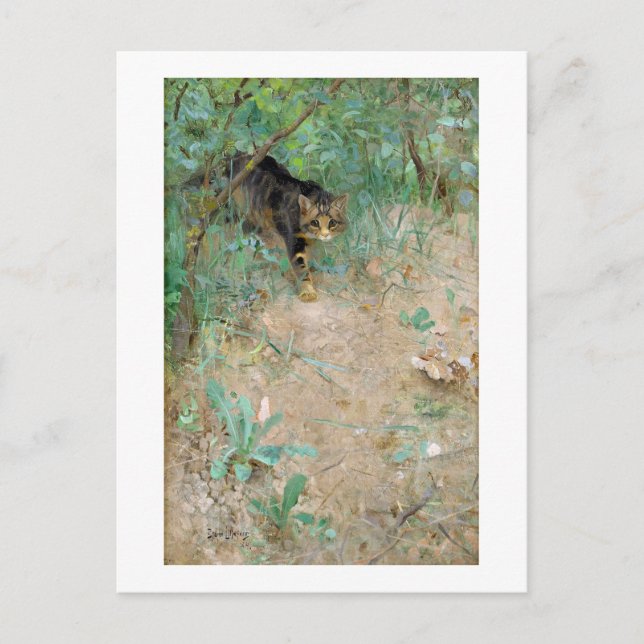 Cat, Bruno Liljefors Postcard (Front)
