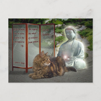 Cat-Buddha nature Postcard