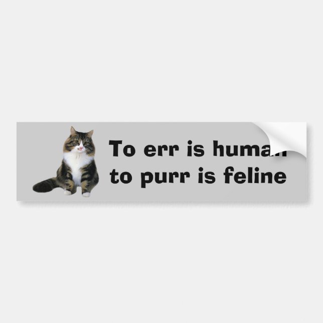 Cat Bumper Sticker (Front)