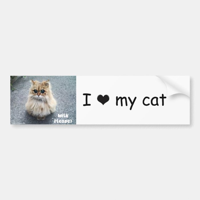 Cat Bumper Sticker