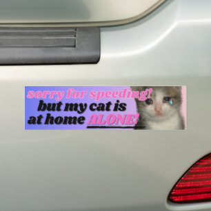 cat bumper sticker Sorry for speeding but my cat 