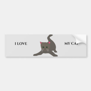 CAT bumper sticker. Sticker