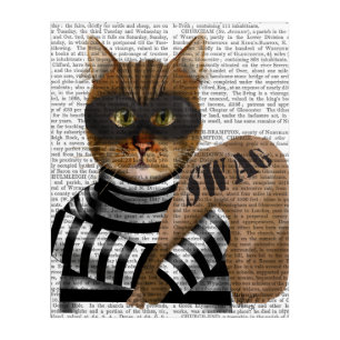 Cat Burglar Acrylic Print