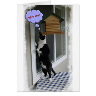 Cat Burglar Cards