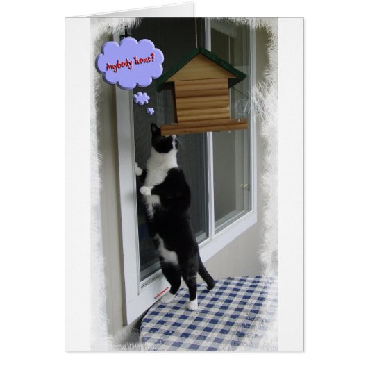 Cat Burglar Cards (Front)