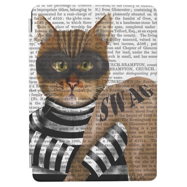 Cat Burglar iPad Air Cover (Front)