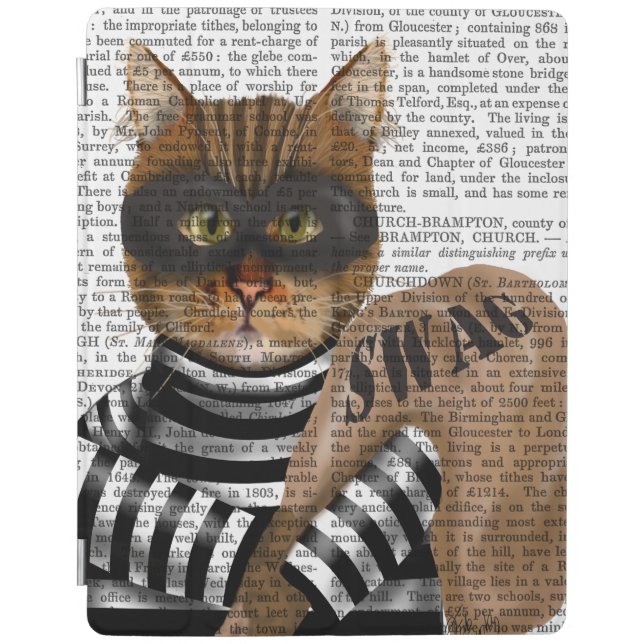 Cat Burglar iPad Air Cover (Front)