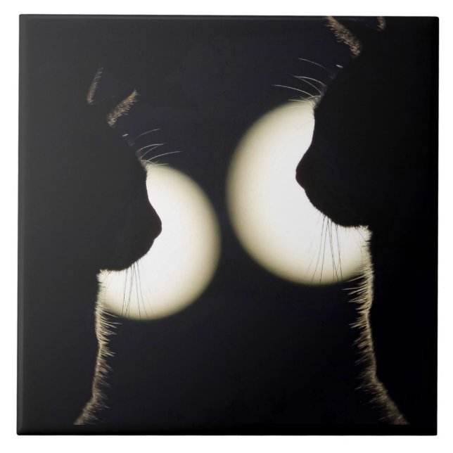 Cat Burglars Spotted Ceramic Tile (Front)