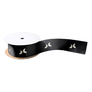 Cat Burglars Spotted Satin Ribbon