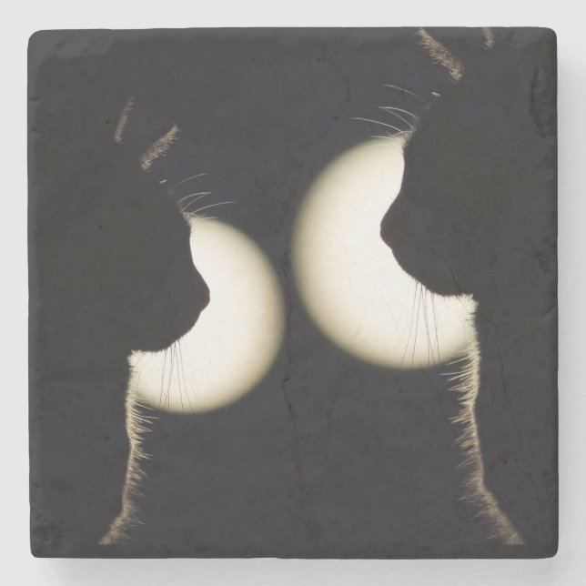 Cat Burglars Spotted Stone Coaster (Front)