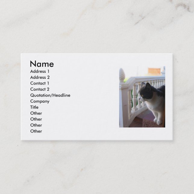 Cat Business Card (Front)