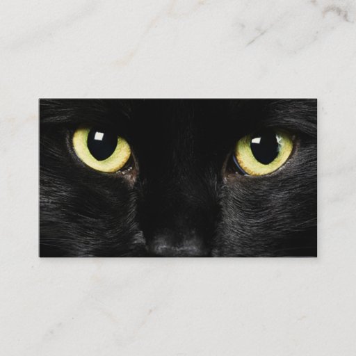 Customizable Cat Business Card