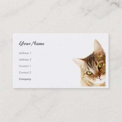 Customizable Cat Business Card Templates