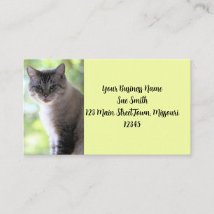Cat Business Card