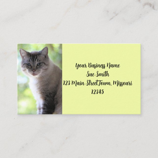 Cat Business Card (Front)