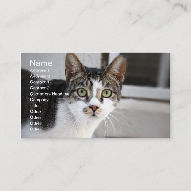 Cat Business Card (Front)