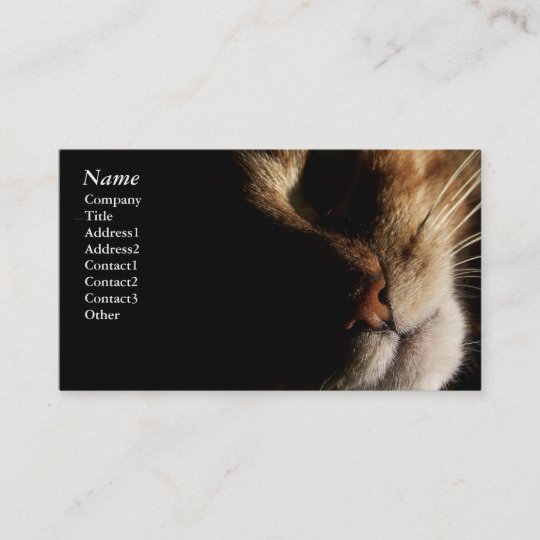 Cat Business cards