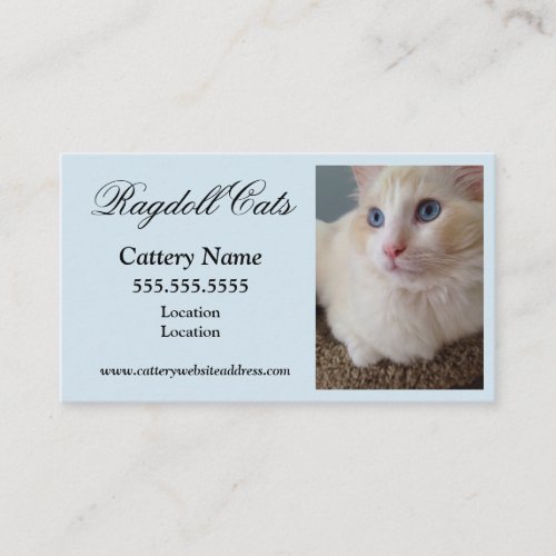 Cat Business Cards