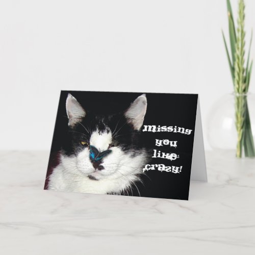 CAT  BUTTERFLY Missing You Card