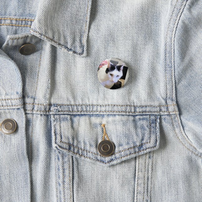 Cat   button (In Situ)