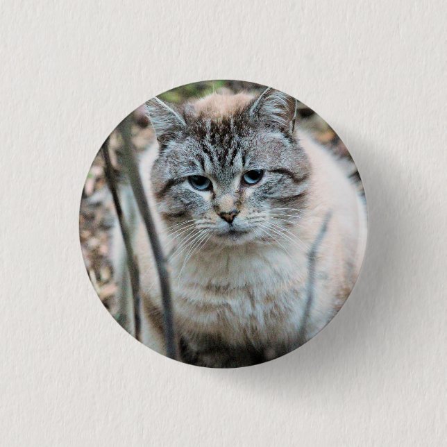Cat Button (Front)
