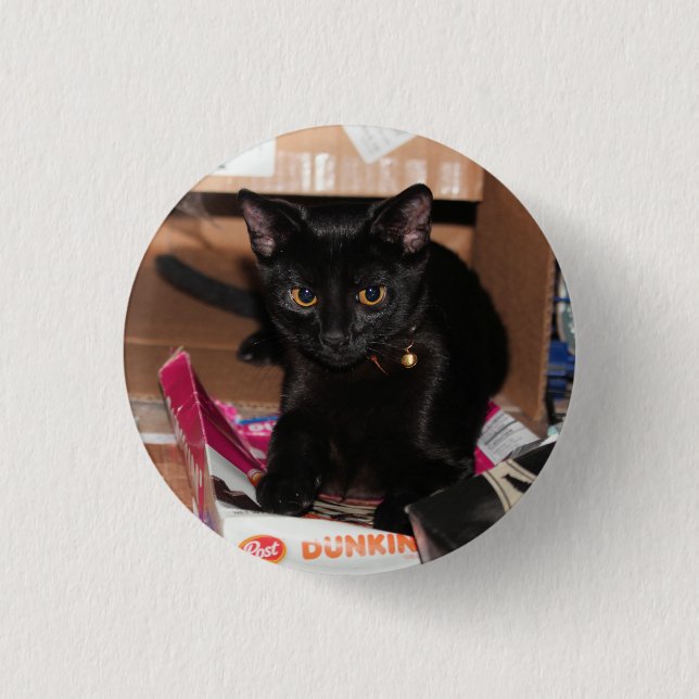 Cat   button (Front)