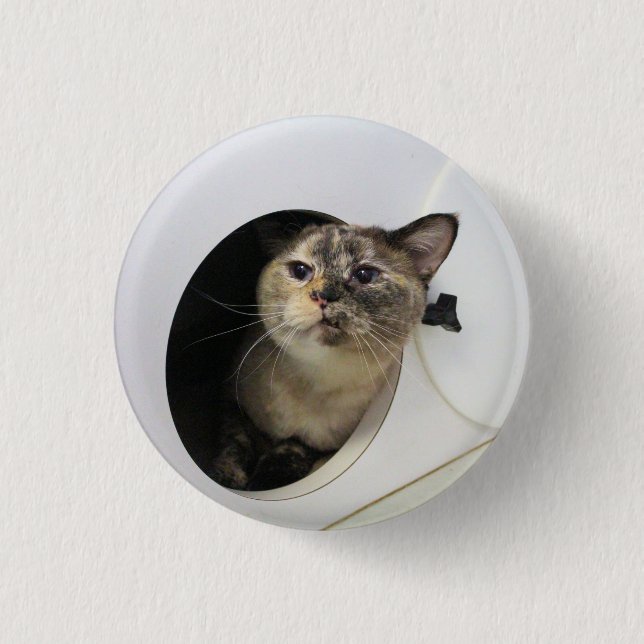 Cat  button (Front)
