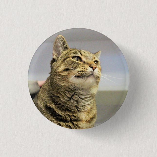 Cat   button (Front)