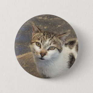 Cat button