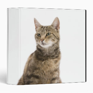 Cat by bowl 3 ring binder