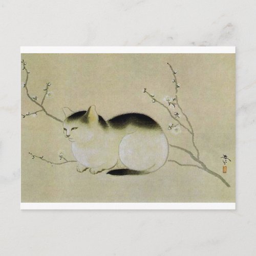 Cat by Hishida Shunso Postcard