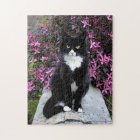 Cat by pink bush,
