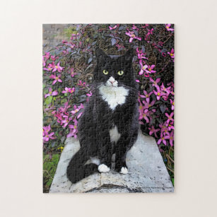 Cat by pink bush, jigsaw puzzle