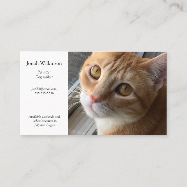 Cat by the window Business Card (Front)