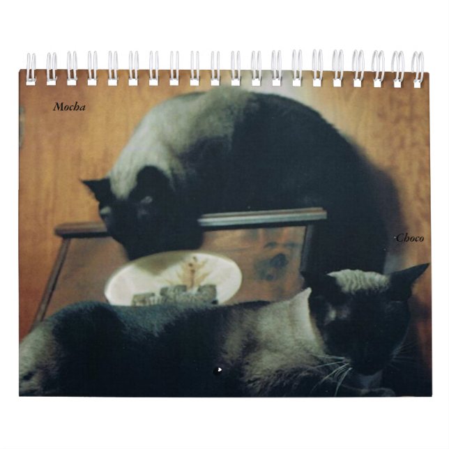 Cat Calendar (Cover)