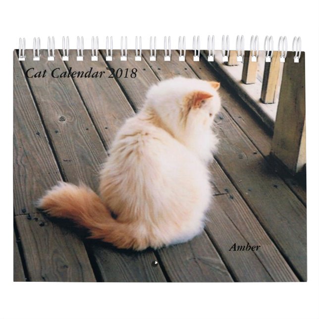 Cat Calendar (Cover)