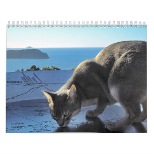 Cat Calendar