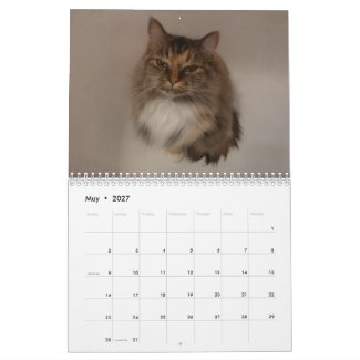 Cat Calendar