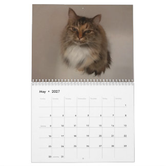 Cat Calendar