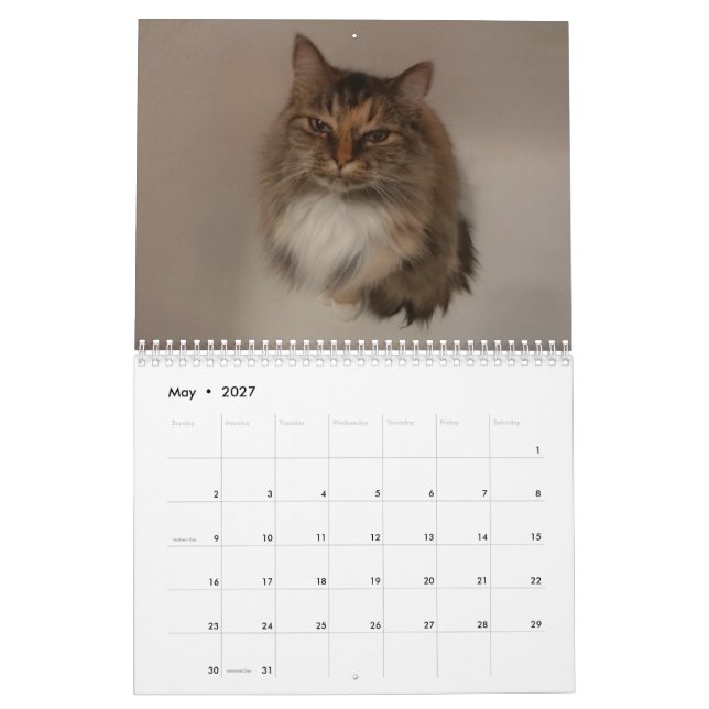Cat Calendar (May 2027)