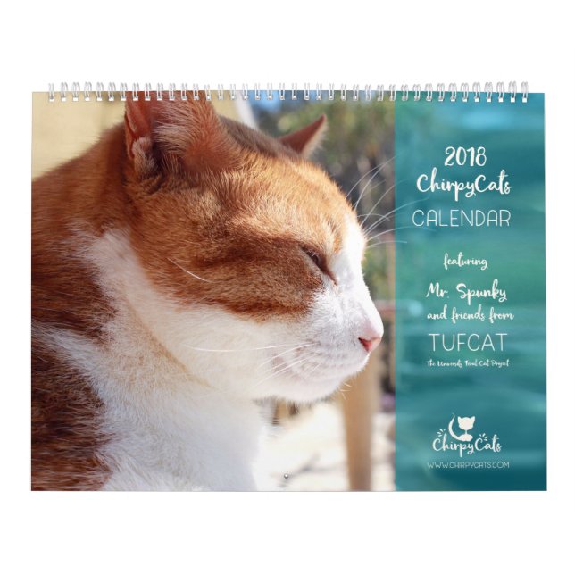 Cat Calendar 2018 - Chirpy Cats (Cover)